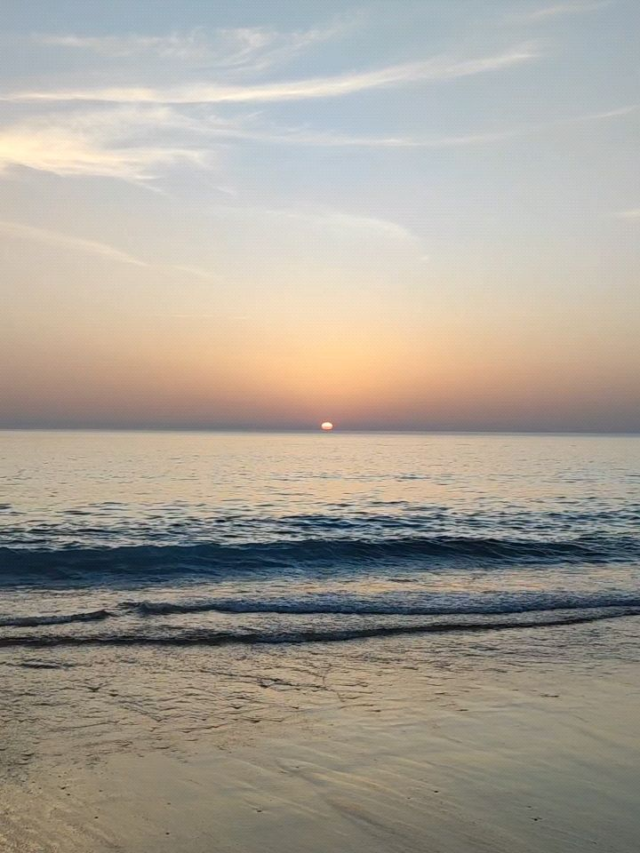 Le photo/video dump de Juin que personne n’avait demandé !- le coucher de soleil légendaire du @vegansurfcamp
- les coulisses de la vidéo avec Elo @lesilencedesoignons
- j’ai mangé (ici @bonobomontpellier)
- j’étais invitée à l’inauguration d’un nouvel espace d’accompagnement des femmes @mahila_montpellier
- mon chat a trouvé un nouveau spot
- les coulisses de l’enregistrement du contenu du programme VGT
- j’ai coanimé un webinaire pour la première fois de ma vie et j’étais pas rassurée (merci à mes collègues d’amour de me soutenir et de m’encourager encore et toujours !!! Poke @diet_en_herbe)
- j’ai mangé (ici @auden_montpellier)
- ça, c’est la plage de rêve où on allait pendant notre séjour au vegan surf camp
- une fête de la musique comme ça ou rien
- un atelier cuisine par la fabuleuse @phoebeamalia
- lecture du moment
- j’ai mangé (ici au vegan surf camp)
- un atelier sur l’entrepreuneuriat éthique avec l incroyable @oumy_hk_consulting
- j’ai mangé (ici @mamaonacafe )—🌿 Je suis Magali, diététicienne nutritionniste spécialisée dans les alimentations végétales (végétariennes, végétaliennes, flexitariennes) et créatrice du podcast “Le Dos de la Cuillère”. Je te livre mes expériences personnelles en tant que vegan vivant en France, mes réflexions professionnelles sur la nutrition, mais aussi celles d'autres personnes partageant le même mode de vie.📩 Je viens de lancer une newsletter "La Dosette" , pense à t’inscrire (lien dans le Linktree ou sur mon site) si ça t’intéresse.