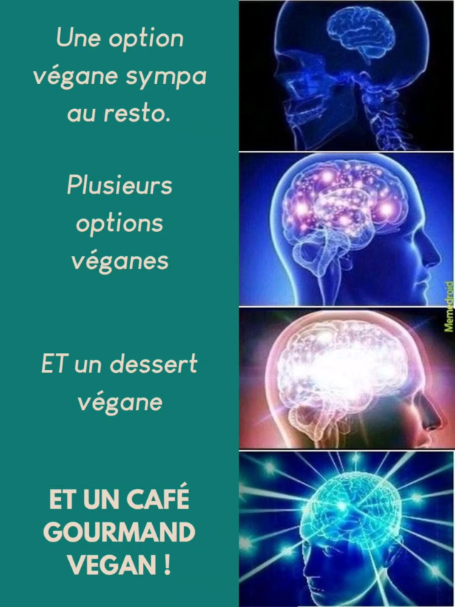 Hier soir, j’ai dîné avec des collègues dans le centre-ville de Montpellier et on est allé à @vegorillastreetfood . L’endroit est tout mignon, le service est parfait, les burgers super bons et les desserts *chef kiss* .Quand on est vegan au resto, on n’a pas vraiment l’habitude d’avoir le choix donc les rares fois où ça arrive, c’est hyper dur de choisir … Heureusement, il existe les ✨cafés gourmands✨ (assortiments de plusieurs desserts avec une boisson).Et ça, les ami.e.s, ça fait partie des trucs qui me redonnent (un peu) foi en l’humanité.(pardon pour la qualité pourrie des photos mais photographe culinaire c’est un vrai métier, okay ?)#veganuaryfrance—🌿 Je suis Magali, diététicienne nutritionniste spécialisée dans les alimentations végétales (végétariennes, végétaliennes, flexitariennes) et créatrice du podcast “Le Dos de la Cuillère”. Je te livre mes expériences personnelles en tant que vegan vivant en France, mes réflexions professionnelles sur la nutrition, mais aussi celles d'autres personnes partageant le même mode de vie.📩 Je viens de lancer une newsletter "La Dosette" , pense à t’inscrire (lien dans le Linktree ou sur mon site) si ça t’intéresse.
